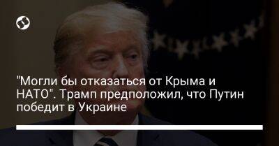 "Могли бы отказаться от Крыма и НАТО". Трамп предположил, что Путин победит в Украине
