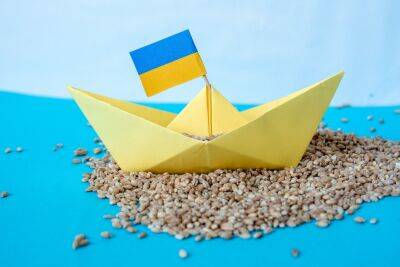 Первое судно с украинским зерном благополучно двигается в Ливан