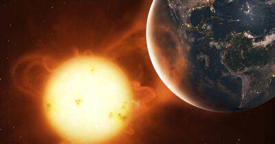 Треть россиян верят, что Солнце вращается вокруг Земли, – опрос ВЦИОМ