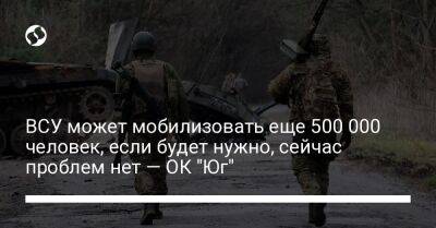 ВСУ может мобилизовать еще 500 000 человек, если будет нужно, сейчас проблем нет — ОК "Юг"