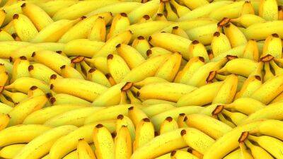Немецкий чиновник призвал замещать российский газ топливом из банановой кожуры