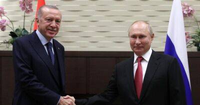 Встреча Эрдогана и Путина: стало известно, о чем будут говорить в Сочи