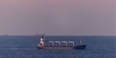 Первое судно с украинским зерном подошло к берегам Турции - nv.ua - Россия - Украина - Турция - Одесса - Стамбул - Сьерра Леоне - Reuters