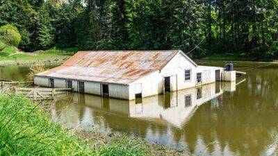 У Новій Зеландії - потоп: десятки будинків під водою, люди евакуюються