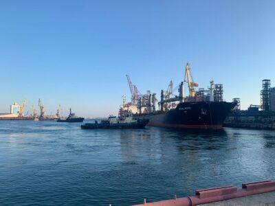 Из порта Черноморска вышли еще два корабля с продовольствикем – минобороны Турции