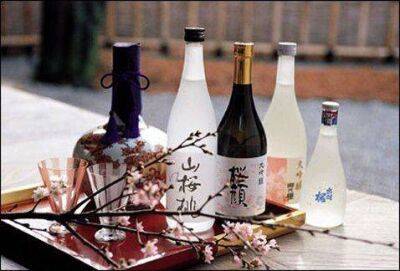 В Японии стартовал конкурс на популяризацию алкоголя среди молодёжи