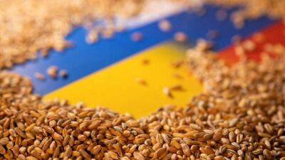 Продовольственный кризис: США закупят 150 тысяч тонн украинского зерна
