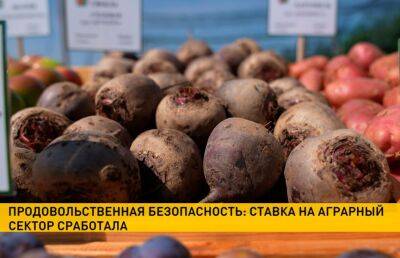 Беларусь может полностью гарантировать продовольственную безопасность