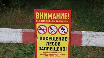 Запрет на посещение лесов действует в 24 районах Беларуси