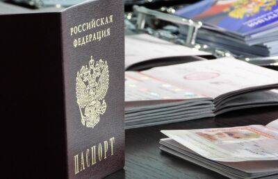 Шведский министр не поддержал полный запрет выдачи виз гражданам России