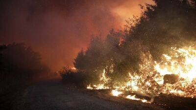 Португалия борется с масштабными лесными пожарами