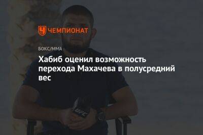 Хабиб оценил возможность перехода Махачева в полусредний вес