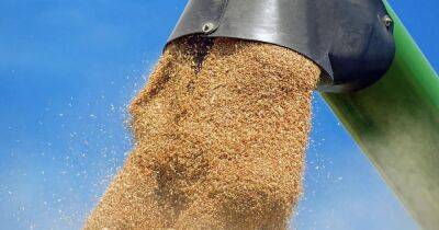 Вывозить украинское зерно из порта в Николаеве пока не будут