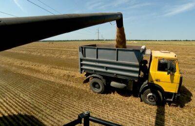 Планку в 7 млн тонн намолоченного зерна планируют сегодня взять в Беларуси