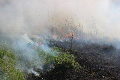 Возле деревни под Лихославлем тушат пожар в лесу