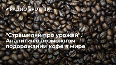 "Страшилки про урожай". Аналитик о возможном подорожании кофе в мире