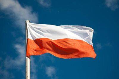 Глава МИД Польши Рау предложил дать странам Евросоюза возможность вернуться к нацвалютам