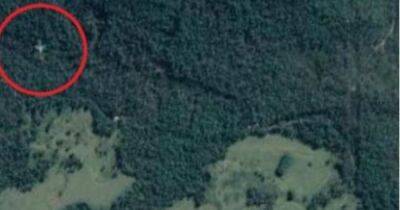 Google Maps, возможно, показали самолет, упавший в тропическом лесу Австралии (фото)