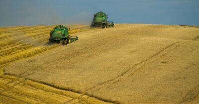 Экспорт зерна из Украины. Что изменилось за месяц после соглашения