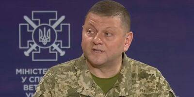 Залужный впервые раскрыл число, сколько защитников отдали жизнь за Украину: "В этой войне..."
