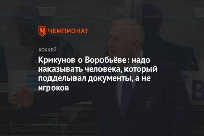 Крикунов о Воробьёве: надо наказывать человека, который подделывал документы, а не игроков