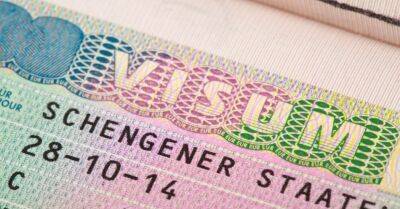 "Прогрессивные" и "Объединенный список": выдачу виз и ВНЖ гражданам России следует ограничить на всей территории ЕС