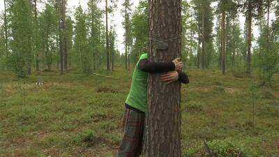 В Финляндии прошел чемпионат по обниманию деревьев