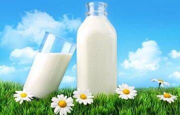 Замминистра сельского хозяйства в разы солгал о надоях молока
