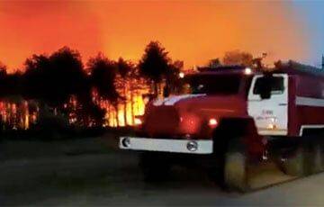 Россия пылает: в Ростовской области разгорелся масштабный лесной пожар