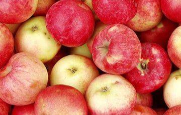 В МАРТ «раскрыли» секрет дороговизны белорусских яблок