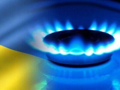 Украинский депутат предложил конфисковать российский газ и отправить его Европе