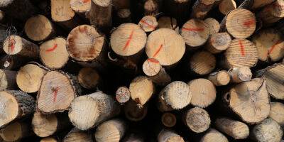 Экспортеров леса могут обязать торговать на бирже