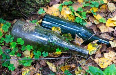 Жительница Тверской области стукнула соседку бутылкой по голове и пошла под суд