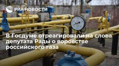 Депутат ГД Морозов: технически Украина способна воровать транзитный газ, но пострадает ЕС