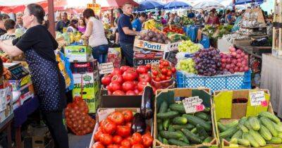 В Украине снова подорожают овощи: когда цены начнут расти