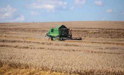 В Гродненской области завершается уборка зерновых и зернобобовых культур