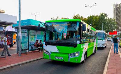Как будут курсировать автобусы в Ташкенте в предстоящие длинные выходные