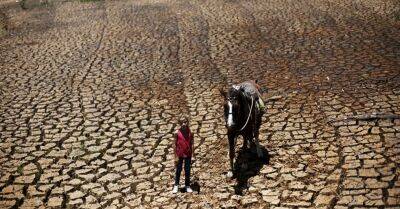 Ученые: такой засухи в Европе не было последние 500 лет