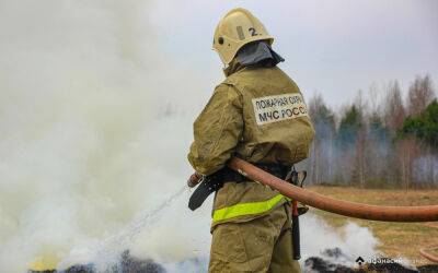 Пожарные тушат огонь в лесу под Кимрами
