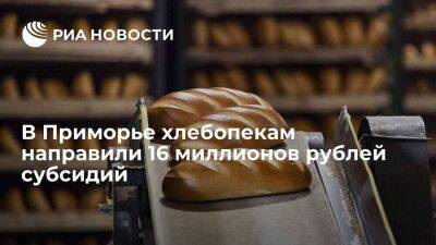 Власти Приморья с начала года направили местным хлебопекам субсидии на 16 миллионов рублей