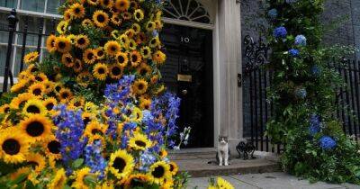 Резиденцию премьер-министра Британии в Лондоне украсили цветами флага Украины
