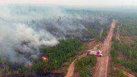 У Рязанській області площа лісових пожеж зросла на чверть на добу: вогонь йде на Москву