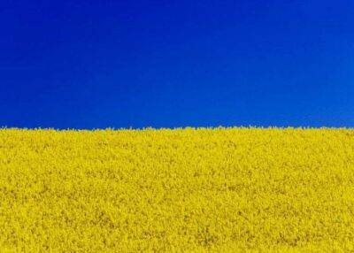 День незалежності: як Україна проходить тернистий шлях до свободи