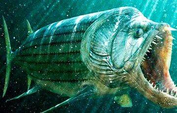 Американец вытащил из реки «рыбу-бульдога», жившую 90 миллионов лет назад - charter97.org - Белоруссия - штат Небраска