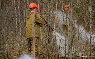 Пожарные тушили огонь в лесу в Западнодвинском районе Тверской области