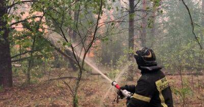 Россия в огне: пожар в Рязанской области двинулся в сторону Подмосковья (фото, видео)