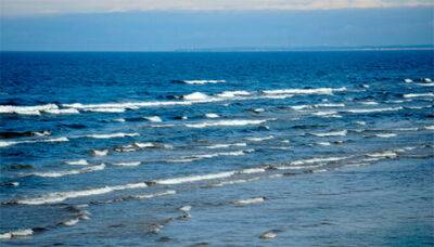 Єврокомісія запровадить обмеження на рибальство в Балтійському морі