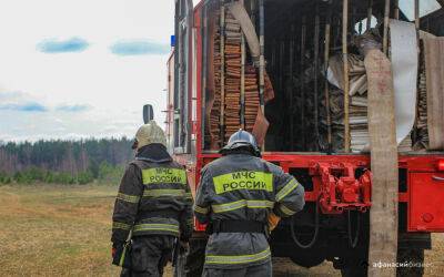 В двух районах Тверской области тушат лесные пожары