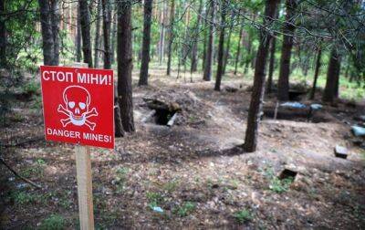 В Минэкологии оценили ущерб окружающей среде от вторжения РФ - korrespondent.net - Россия - Украина - Экология