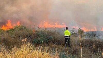 Таинственные поджоги на Голанах: выгорело более 10.000 дунамов старых минных полей